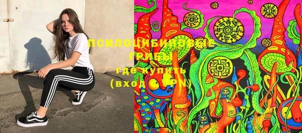 PSILOCYBIN Инсар